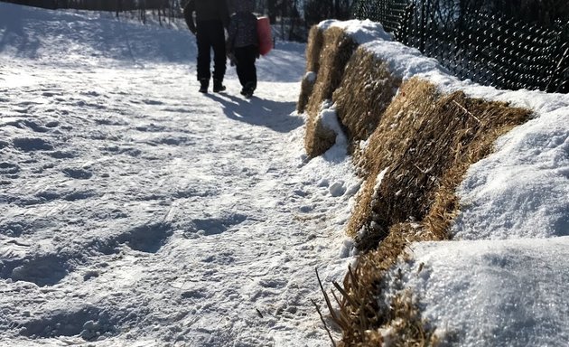 Photo of Mount Royal Tobogganing Hill