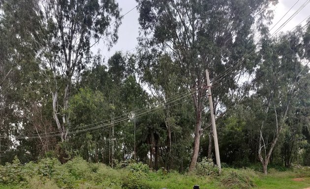 Photo of Kachamaranahalli Trails