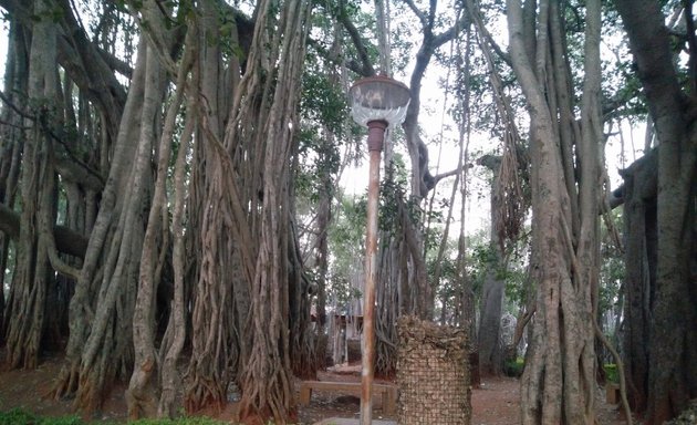 Photo of Big Banyan Tree