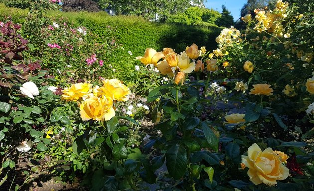 Photo of Victorian Rose Garden
