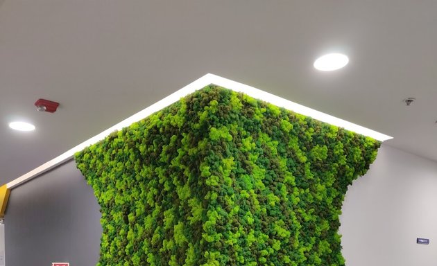 Photo of Natura India - Green Walls | Moss Walls | Vertical Gardens