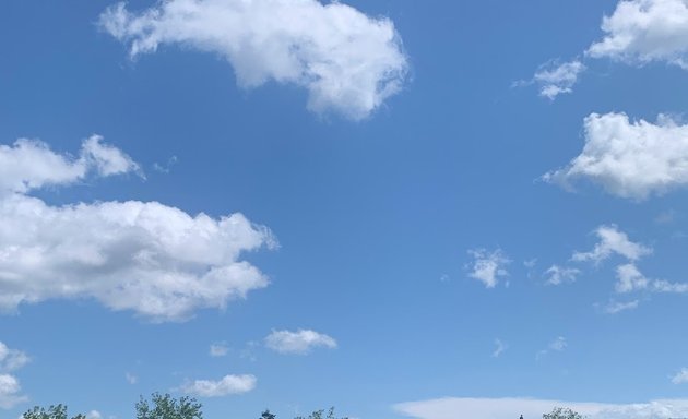 Photo of Éco Tours Montréal (Plage Parc Jean-Drapeau)