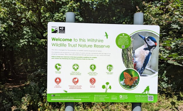 Photo of Hagbourne Copse Nature Reserve