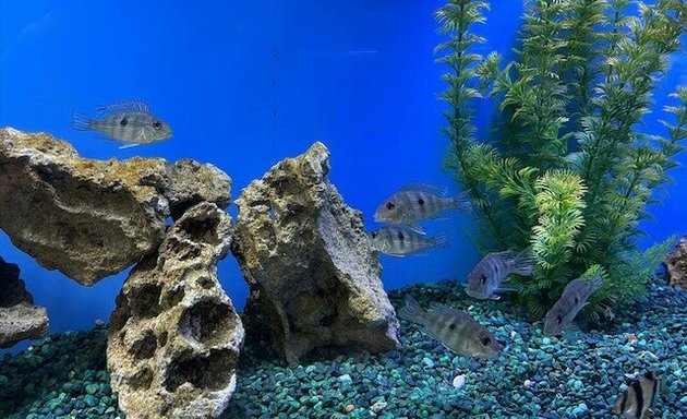 Photo of Aquarium Paradise