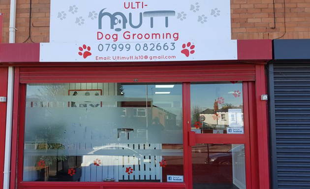 Photo of Lisa's ulti-mutt dog grooming