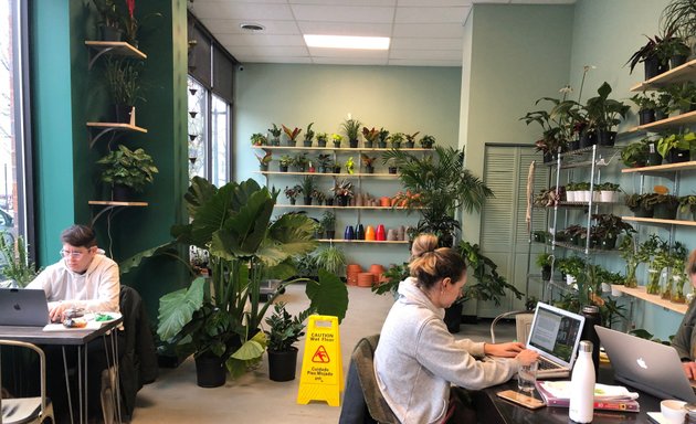 Photo of Botanical Cafe