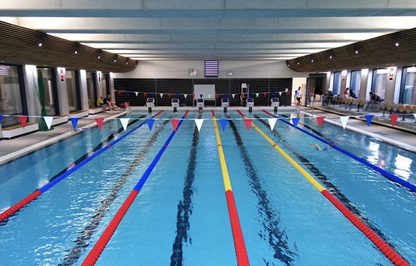 Photo of Nautilus Swimming