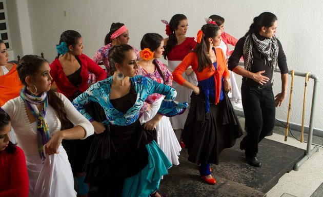 Foto de Marielba Alvarado Estudio De Flamenco