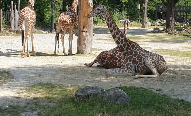Foto von Münchner Tierpark Hellabrunn