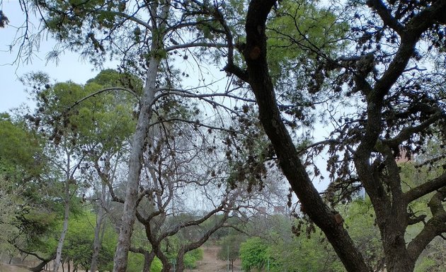 Foto de Pista de Patinaje Parque Sarmiento