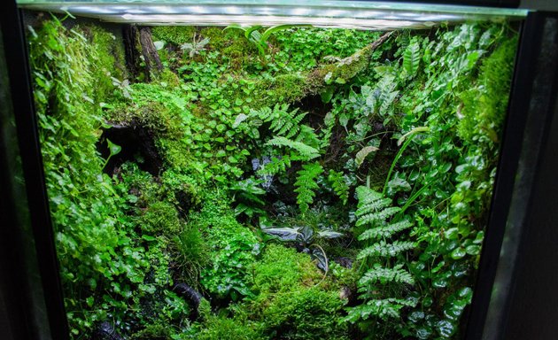 Photo of Terrarium paludarium vivarium aquarium riparium & vertical indoor & outdoor garden makers