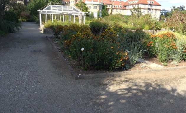 Foto von Schmuckhof im Botanischen Garten München-Nymphenburg