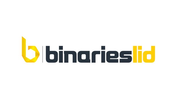 Photo of BinariesLid