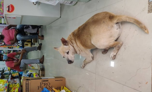 Photo of Mumbai Pet shop and pet clinic