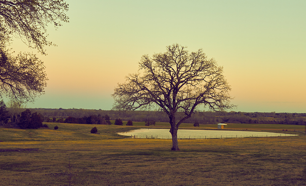 Photo of Tree Care Inc