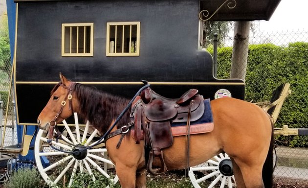 Photo of Los Angeles Police Department Mounted Unit