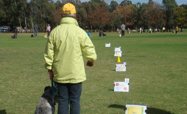 Photo of Northern Obedience Dog Club