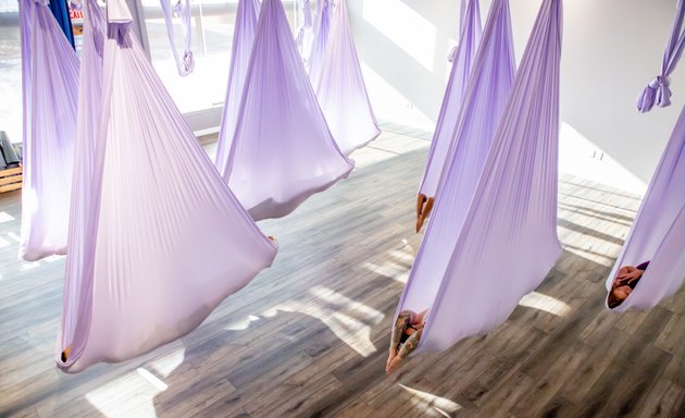 Photo of Elevate Yoga & Wellness — Aerial Yoga Studio in Phoenix, Arizona