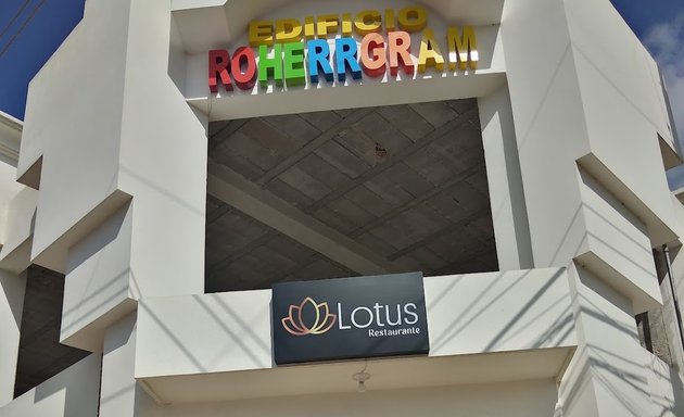 Foto de Lotus restaurante
