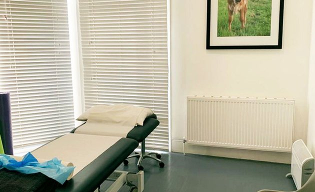 Photo of Elaine Everitt - Osteopathy, Acupuncture and Herbal Medicine