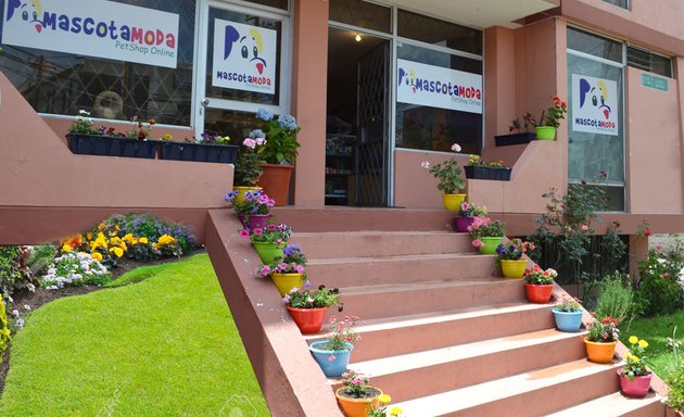 Foto de MascotaModa Pet shop Ecuador