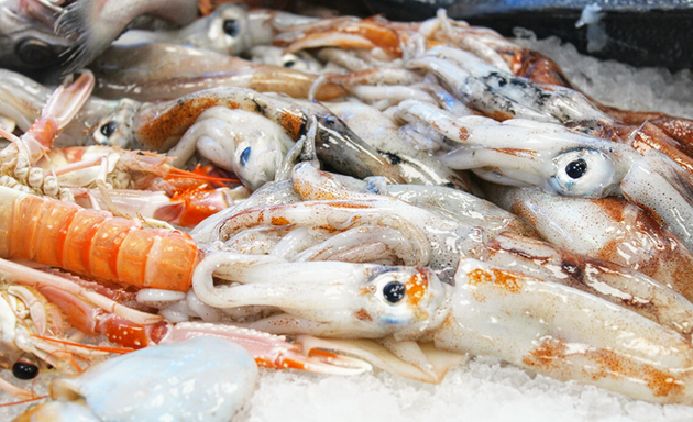 foto Pescheria Melchiorri- Viale delle Medaglie d'Oro