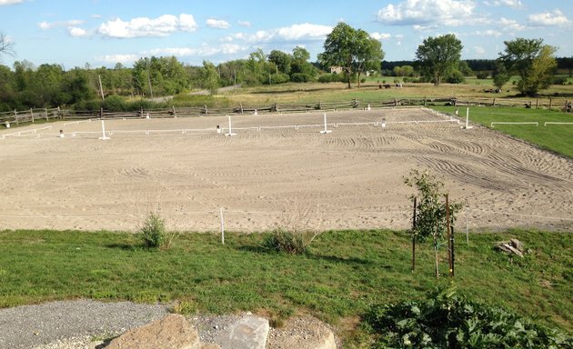 Photo of Meadowvale Farm Equestrian Centre