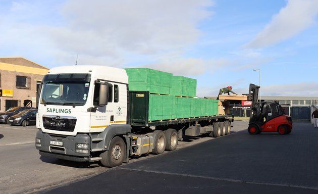 Photo of Saplings Timber Trading