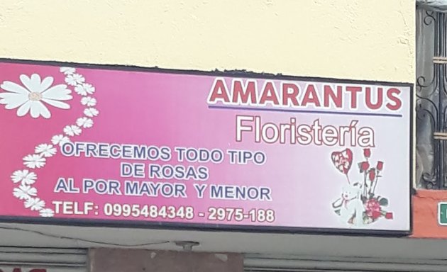 Foto de Amarantus Floristería