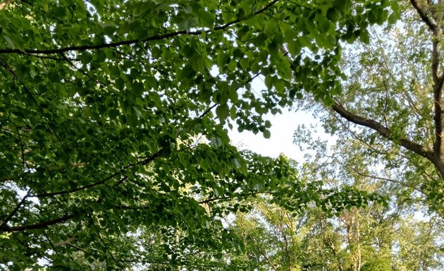 Foto von Kriegsdenkmal im Gemeindepark