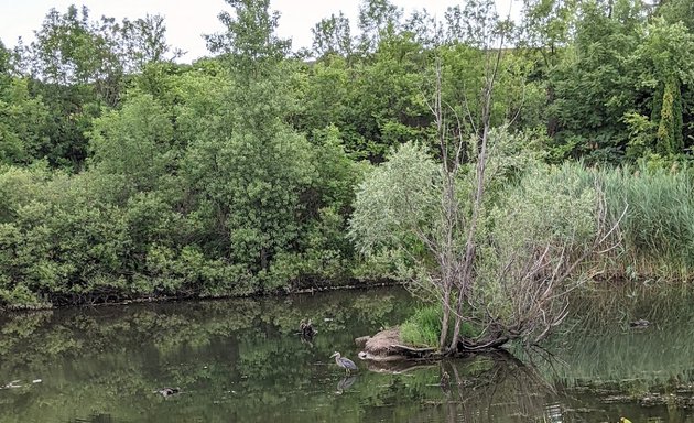 Photo of Willowfield Gardens Park