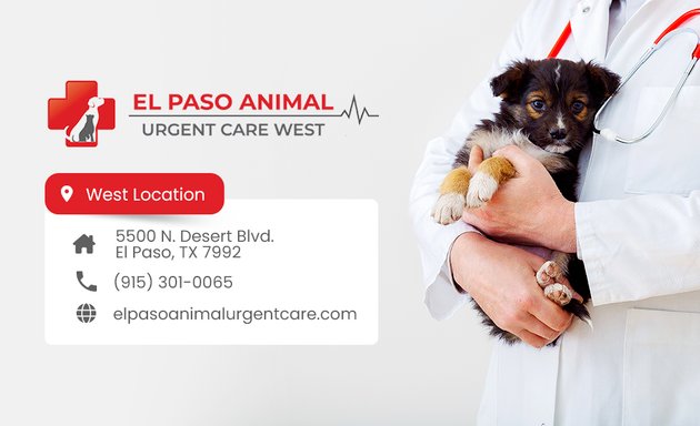 Photo of El Paso Animal Urgent Care West