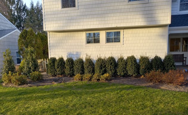 Photo of Pineda Landscaping