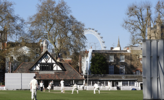 Photo of Landmark Trees