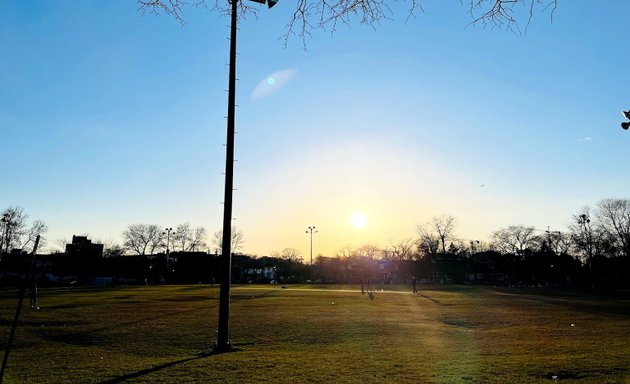 Photo of Cricket Pitch at Parc Van Horne