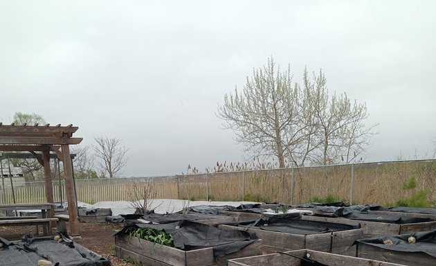 Photo of Edgemere Coalition Community Garden