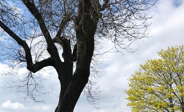 Photo of Heathfield Nature Gardens