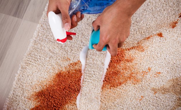 Photo of A Master Carpet Cleaner