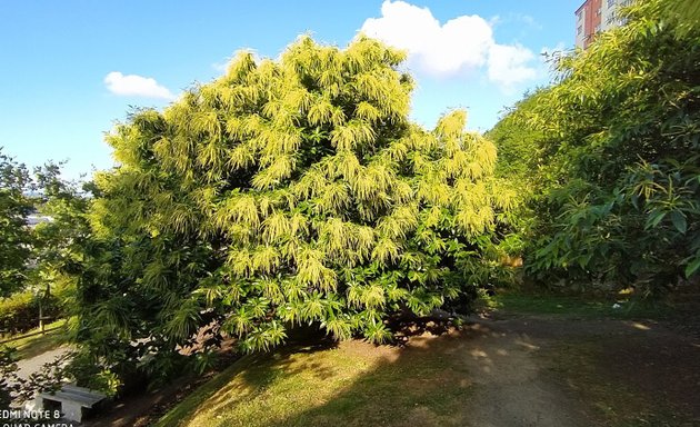 Foto de Parque Avenida Nuevo Mesoiro