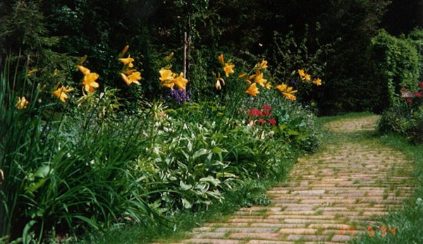 Foto von Dela Reich Garten- & Landschaftsbau GmbH