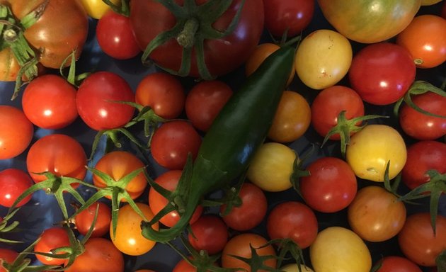 Photo of Christian Herter Community Garden