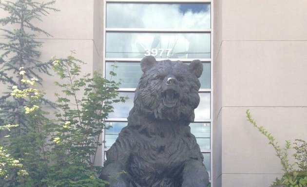 Photo of Brown Bear Car Wash