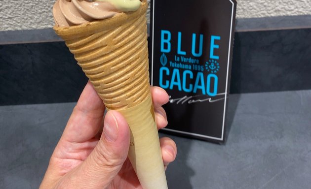 写真 Blue Cacao