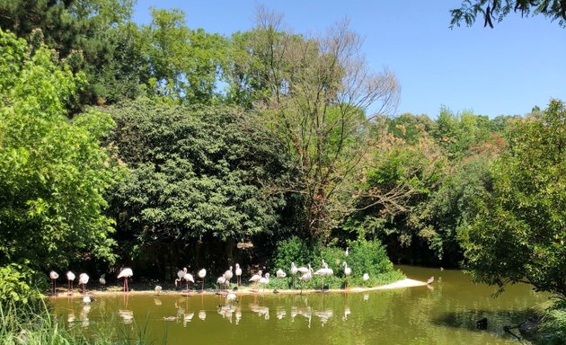 Photo de Les Jardins De Provence