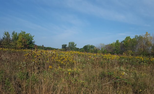 Photo of Springbank Meadows Park