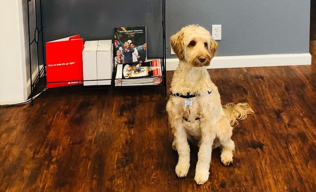 Photo of Mark Hafemeister - State Farm Insurance Agent