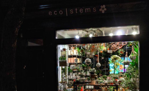 Photo of ecostems