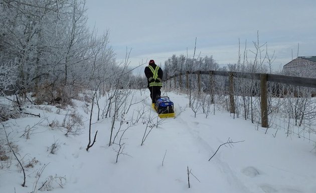 Photo of Webb Surveys