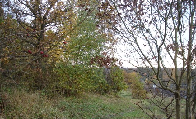 Photo of Grove Park Nature Reserve