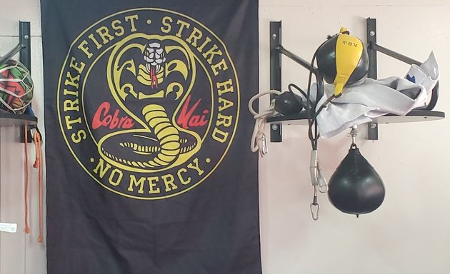 Photo of Cobra Kai San Soo Martial Arts